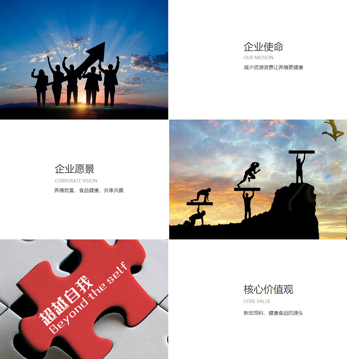 圈28官方网站(图1)